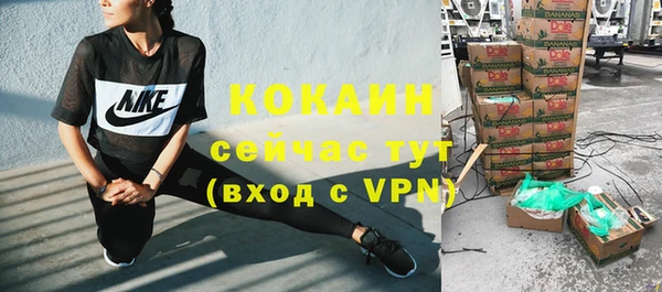 твердый Алексин